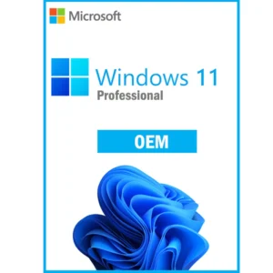 Windows 11 professional OEM